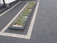 Genius | Usługi brukarskie